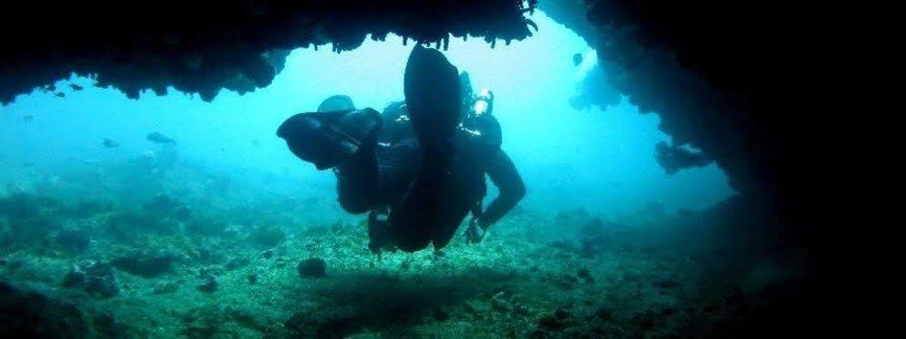 Blue Ocean Dive Resort Umkomaas Luaran gambar